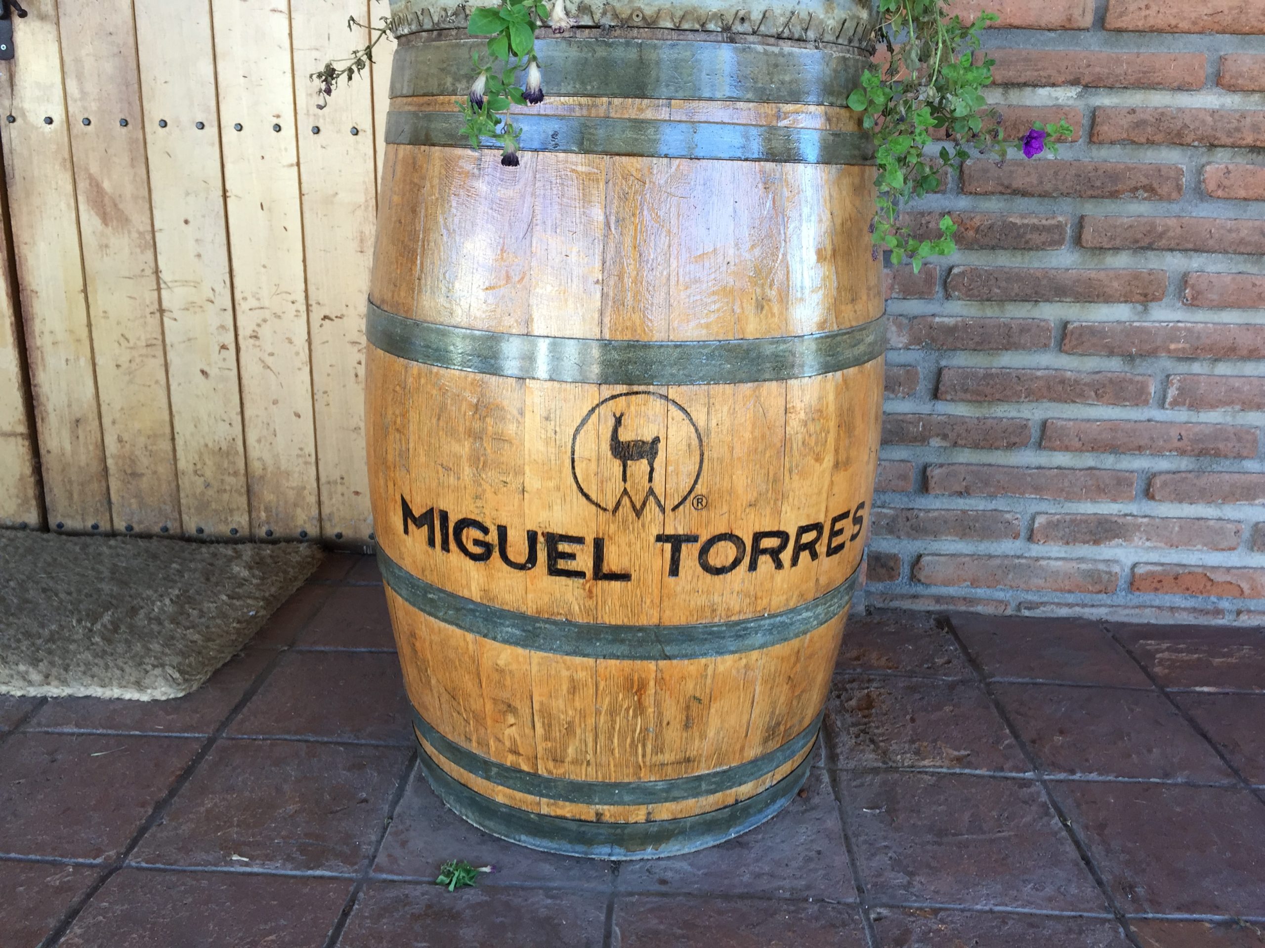 “MIGUEL TORRES” una vinya a la fi del món