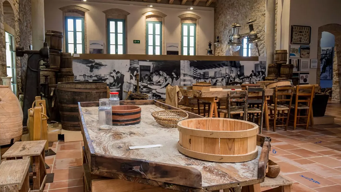 Entrevista Sr. Carles Vilarrubí. Catalunya com a Regió Mundial de la Gastronomia. Diari ARA.