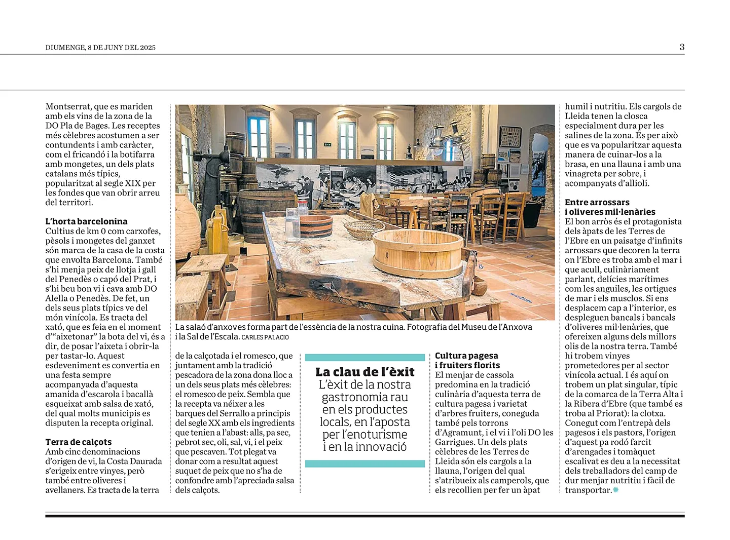 Regio-Mundial-Gastronomia-Entrevista-Carles-Vilarrubi-ACGN-2